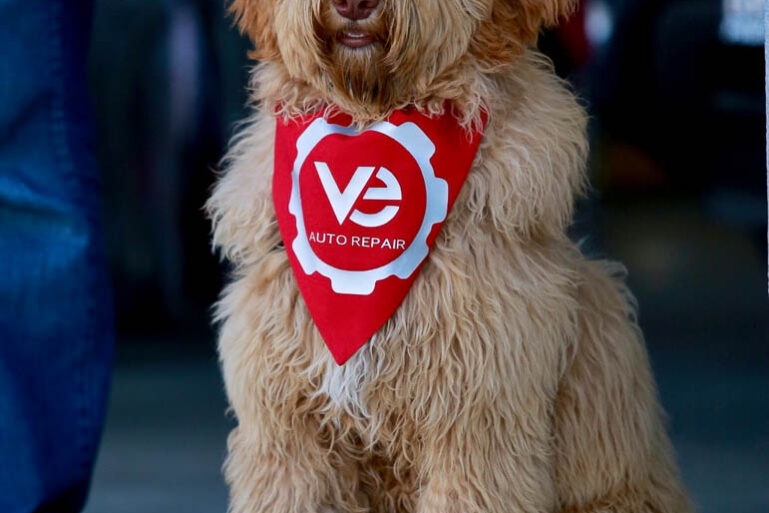 V&E Auto Repair mascot