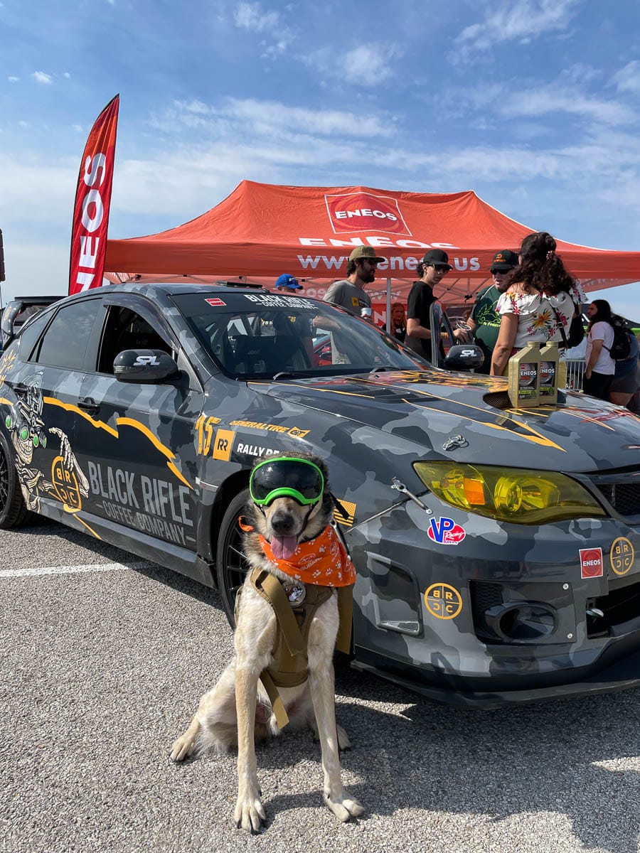 Man’s best friend at ENEOS, Subiefest Texas 2023